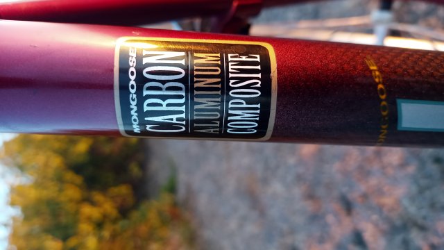 Mongoose I.B.O.C. Road Champion '94 #178