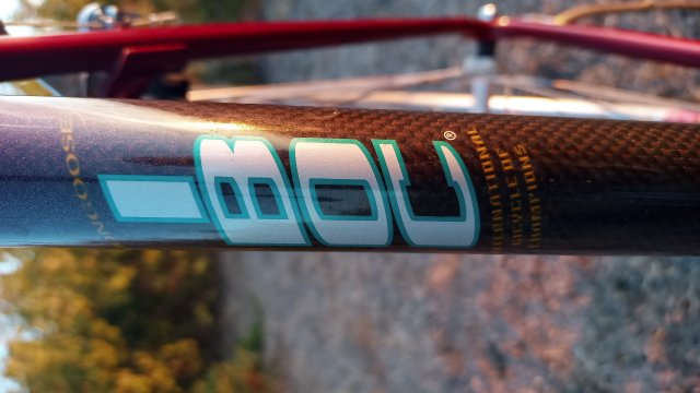 Mongoose I.B.O.C. Road Champion '94 #179