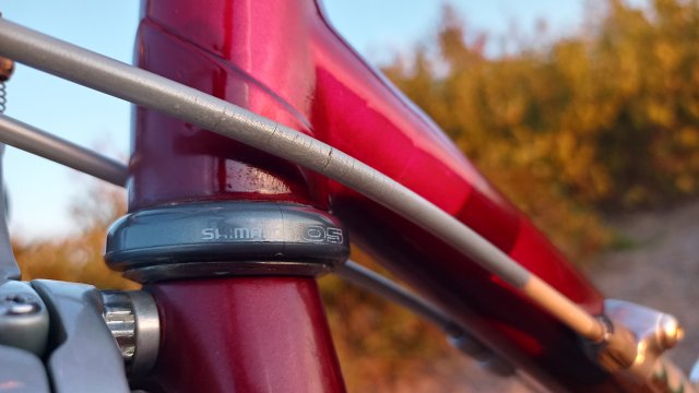 Mongoose I.B.O.C. Road Champion '94 #185