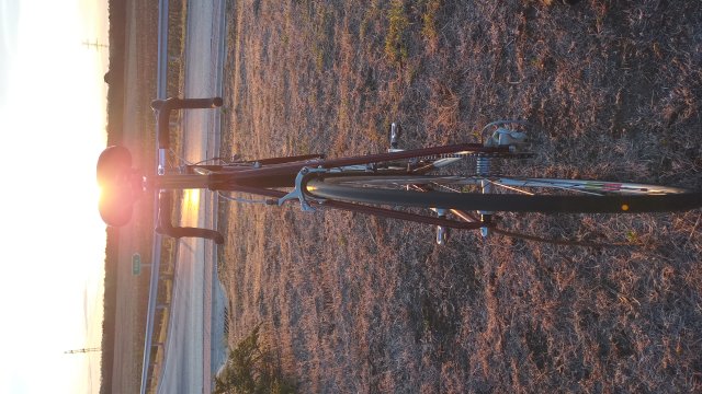 Mongoose I.B.O.C. Road Champion '94 #189