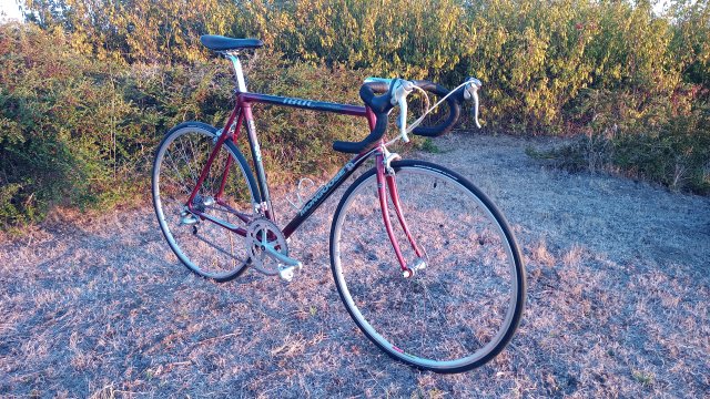 Mongoose I.B.O.C. Road Champion '94 #196