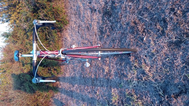 Mongoose I.B.O.C. Road Champion '94 #197