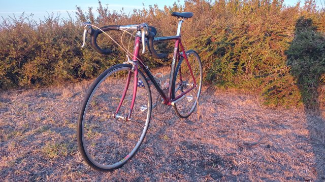 Mongoose I.B.O.C. Road Champion '94 #198