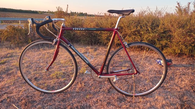 Mongoose I.B.O.C. Road Champion '94 #199