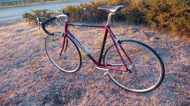 Mongoose I.B.O.C. Road Champion '94 #200