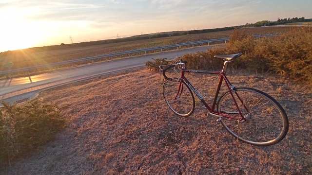 Mongoose I.B.O.C. Road Champion '94 #201