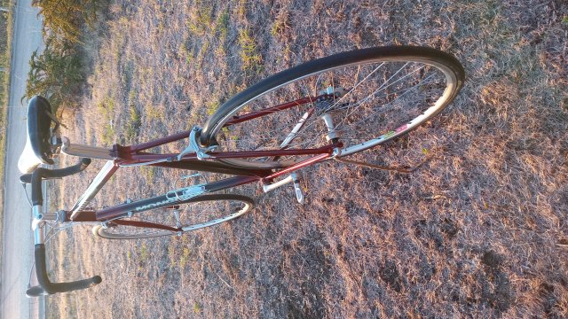 Mongoose I.B.O.C. Road Champion '94 #202