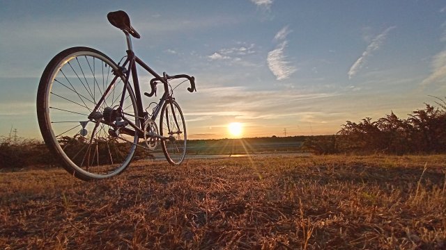 Mongoose I.B.O.C. Road Champion '94 #209