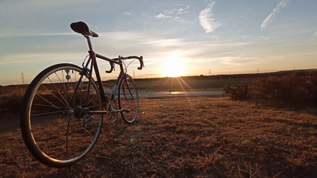 Mongoose I.B.O.C. Road Champion '94 #210