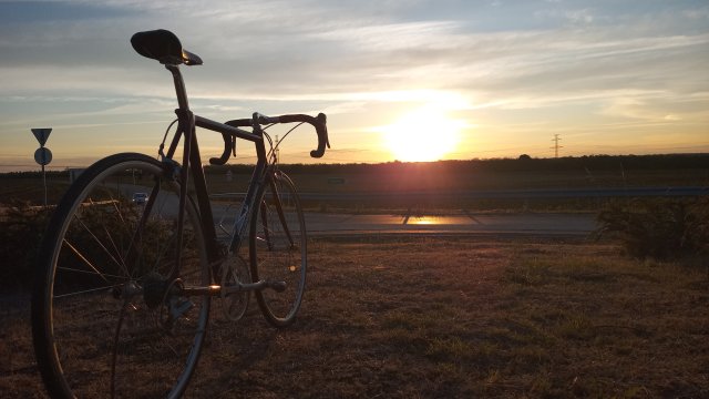 Mongoose I.B.O.C. Road Champion '94 #212