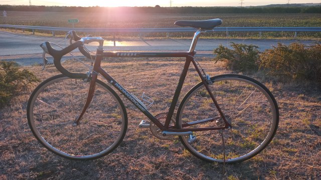 Mongoose I.B.O.C. Road Champion '94 #219