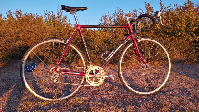 Mongoose I.B.O.C. Road Champion '94 #221
