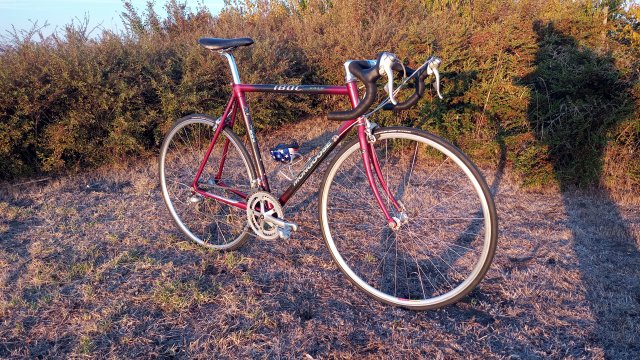 Mongoose I.B.O.C. Road Champion '94 #222