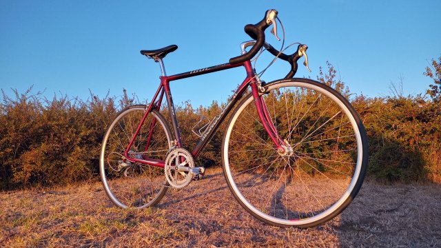 Mongoose I.B.O.C. Road Champion '94 #223