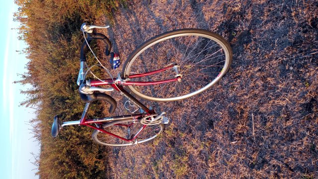 Mongoose I.B.O.C. Road Champion '94 #224