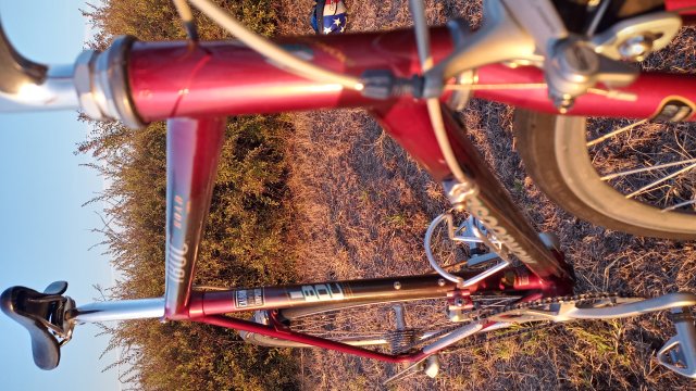 Mongoose I.B.O.C. Road Champion '94 #225