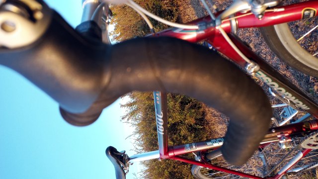 Mongoose I.B.O.C. Road Champion '94 #228