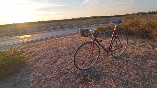 Mongoose I.B.O.C. Road Champion '94 #230