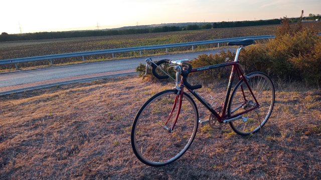 Mongoose I.B.O.C. Road Champion '94 #231