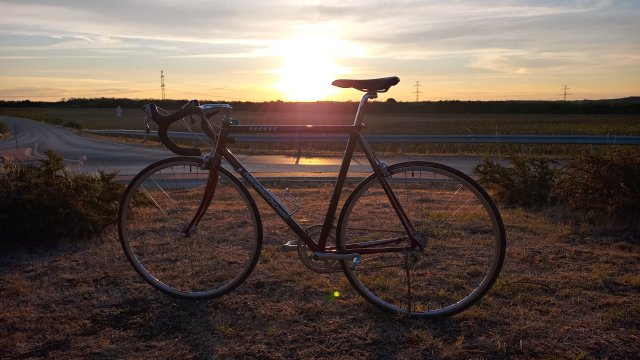 Mongoose I.B.O.C. Road Champion '94 #232