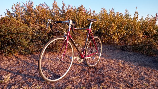 Mongoose I.B.O.C. Road Champion '94 #236