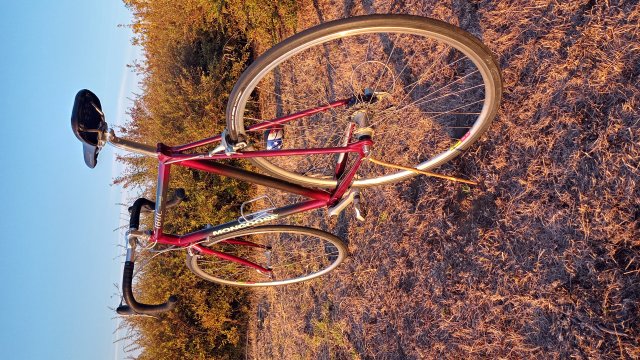 Mongoose I.B.O.C. Road Champion '94 #239