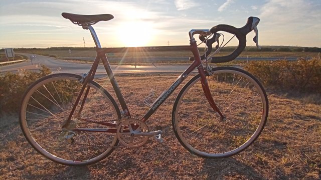 Mongoose I.B.O.C. Road Champion '94 #241