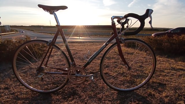 Mongoose I.B.O.C. Road Champion '94 #242