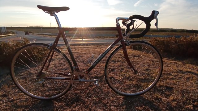 Mongoose I.B.O.C. Road Champion '94 #243