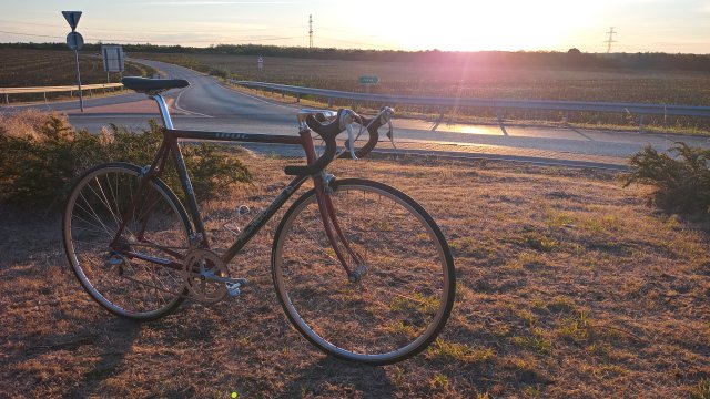 Mongoose I.B.O.C. Road Champion '94 #245