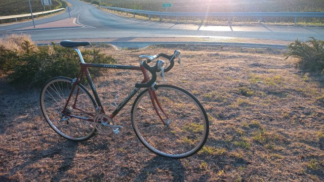 Mongoose I.B.O.C. Road Champion '94 #246
