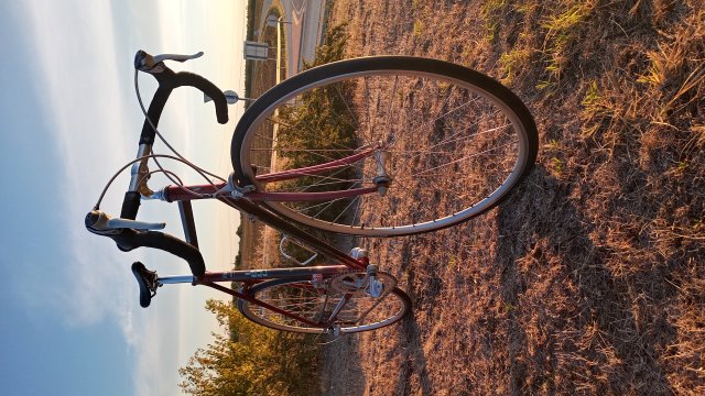 Mongoose I.B.O.C. Road Champion '94 #247