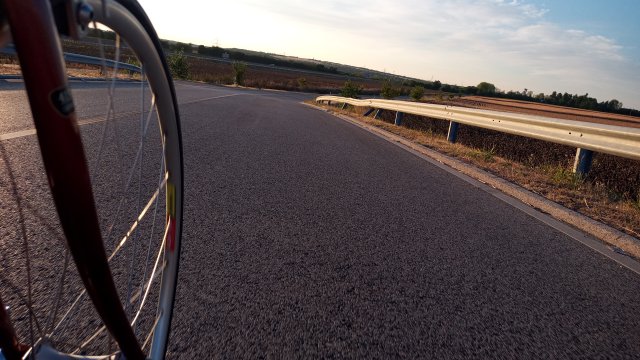 Mongoose I.B.O.C. Road Champion '94 #248