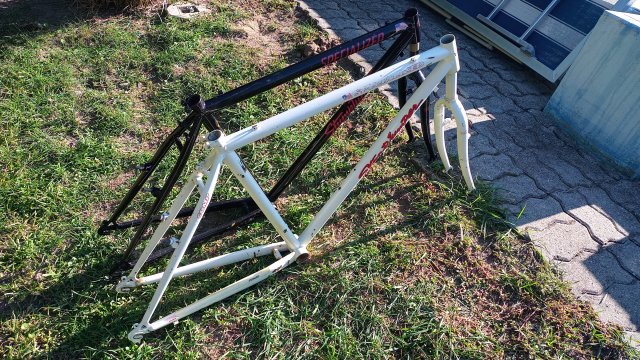 Specialized Stumpjumper Comp '90 #42