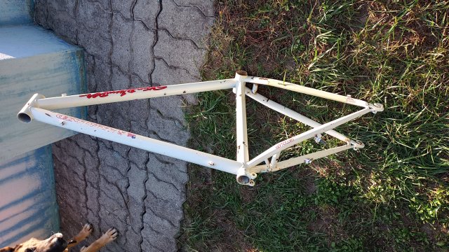 Specialized Stumpjumper Comp '90 #50