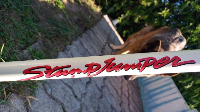 Specialized Stumpjumper Comp '90 #52