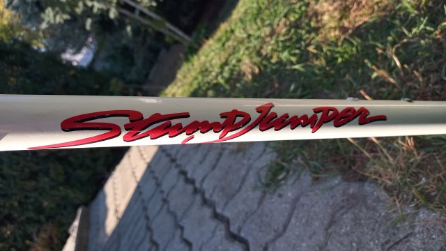 Specialized Stumpjumper Comp '90 #58