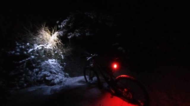 Yeti AS-R SL '10 #479