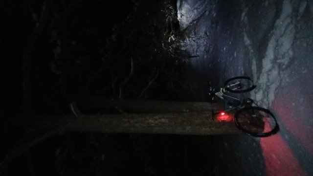 Yeti AS-R SL '10 #486