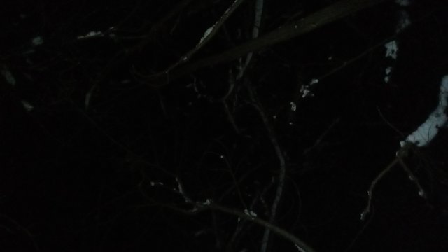 Yeti AS-R SL '10 #511