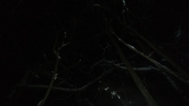 Yeti AS-R SL '10 #512