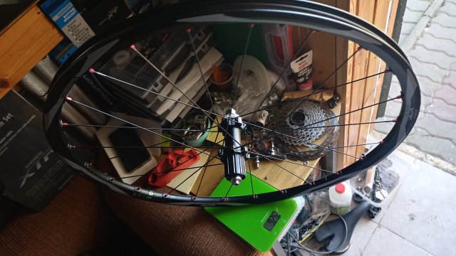 Yeti AS-R SL '10 #531