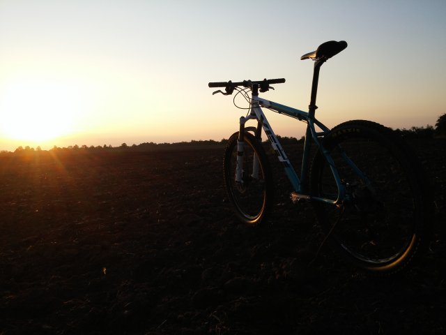 Yeti A.R.C. 2008 #308