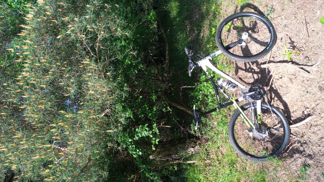 Cannondale RZ 120 '12 #423