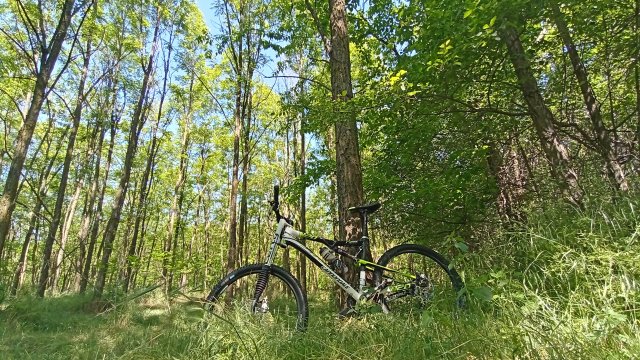 Cannondale RZ 120 '12 #431