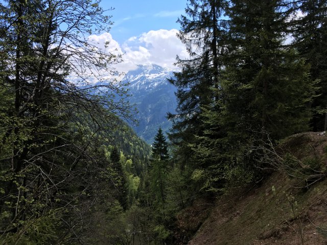 2019 Österreichische Alpen #84