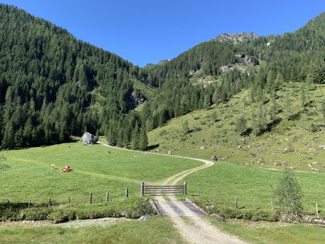 2019 Österreichische Alpen #171