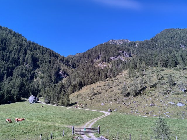 2019 Österreichische Alpen #174