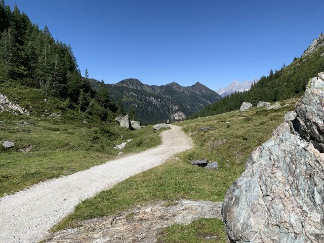 2019 Österreichische Alpen #182