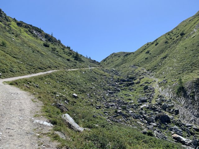 2019 Österreichische Alpen #185